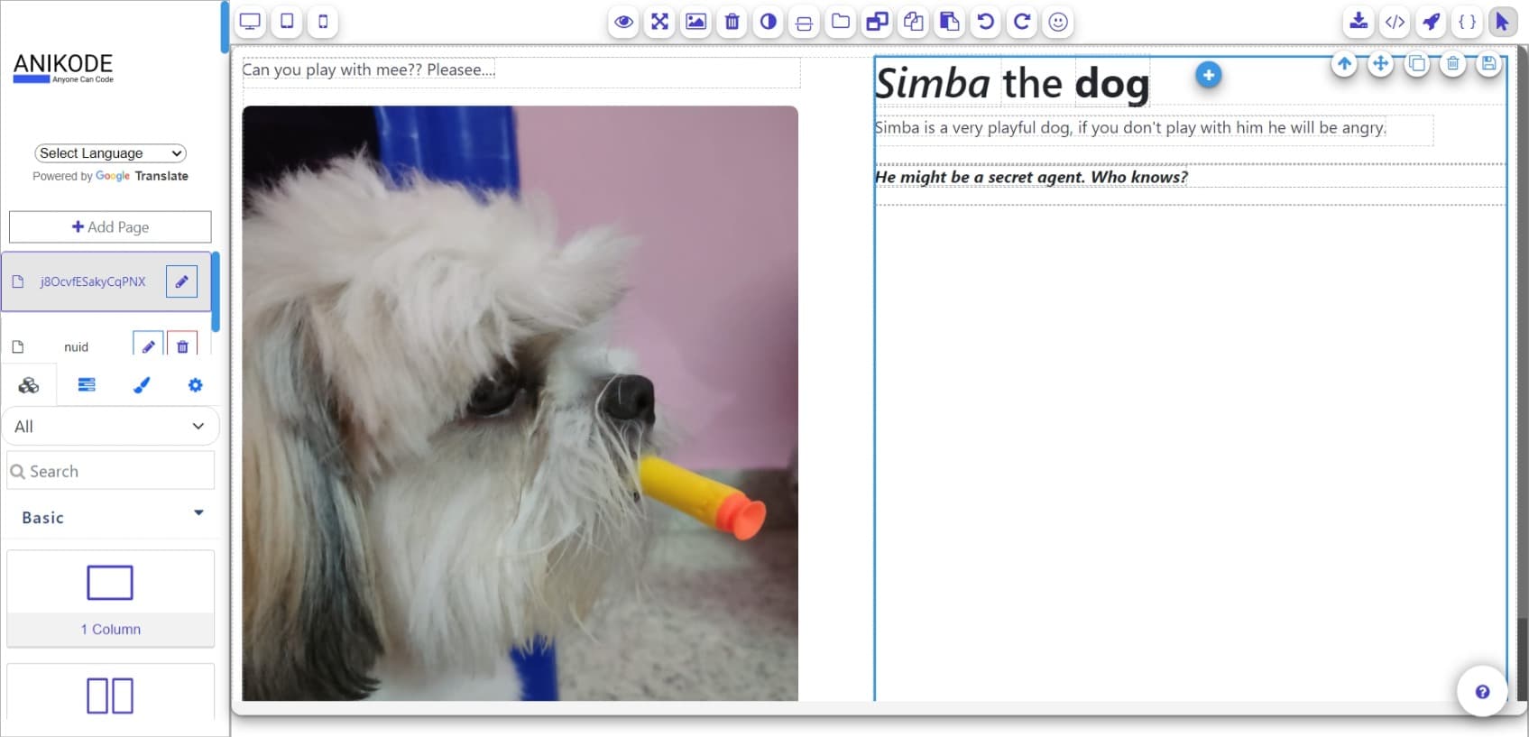 Image of AniKode Website Builder